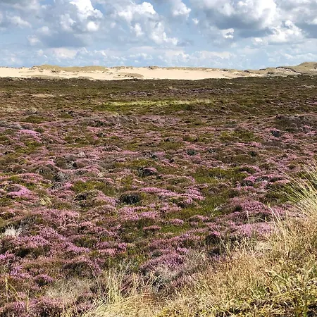 Mellhoern-49-app-7 Apartment