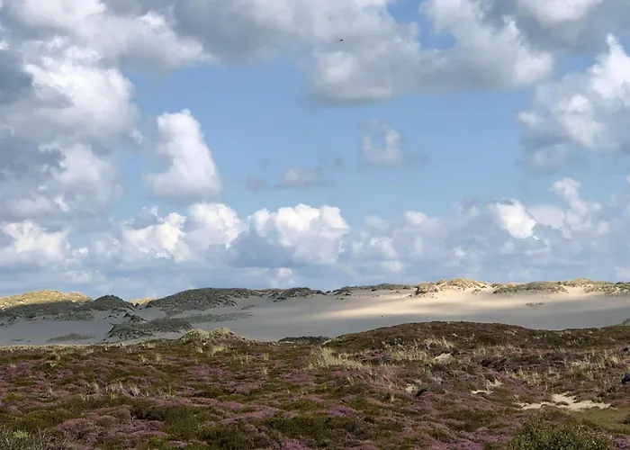 Mellhoern-49-app-7 Appartamento